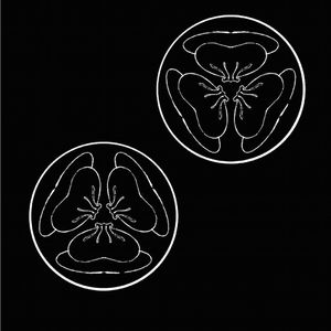 亚洲精品成人AV观看
