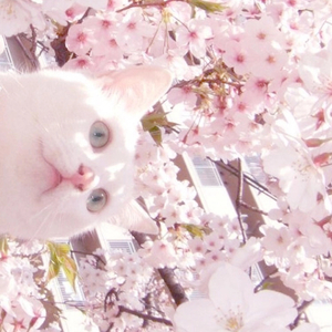 亚洲精品成人AV观看
